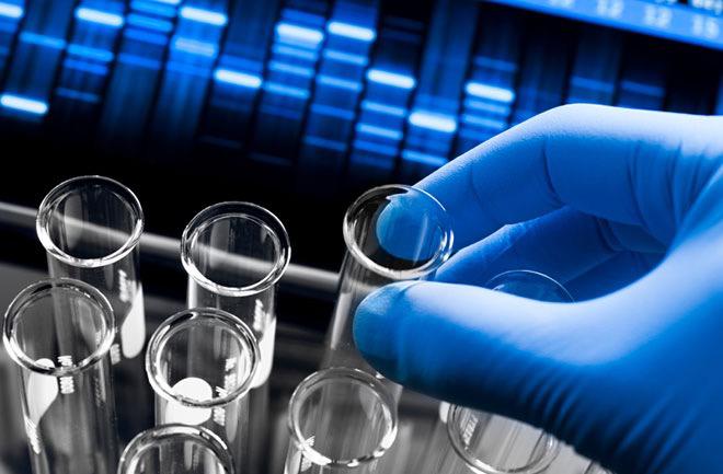 WhatsApp Image 2023-08-20 at 7.34.13 PM (2)